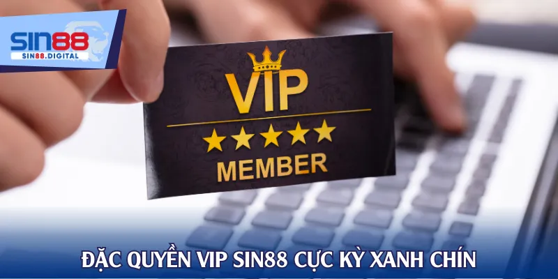 Đặc quyền VIP SIN88 cực kỳ xanh chín
